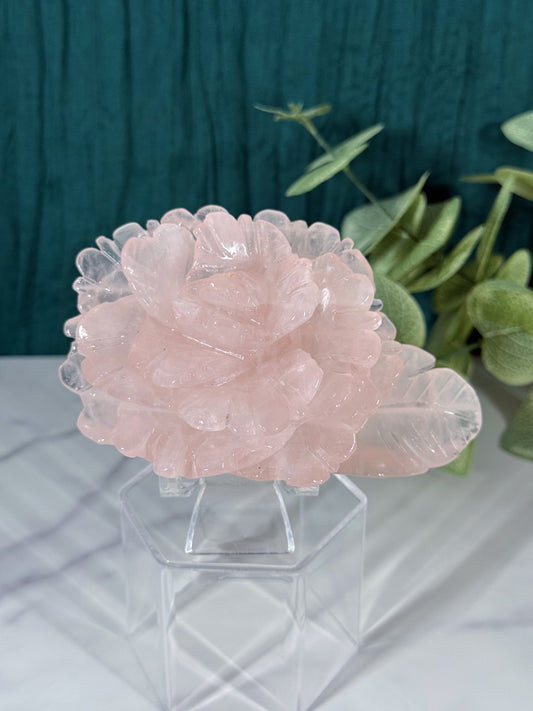 Rose Quartz Rose