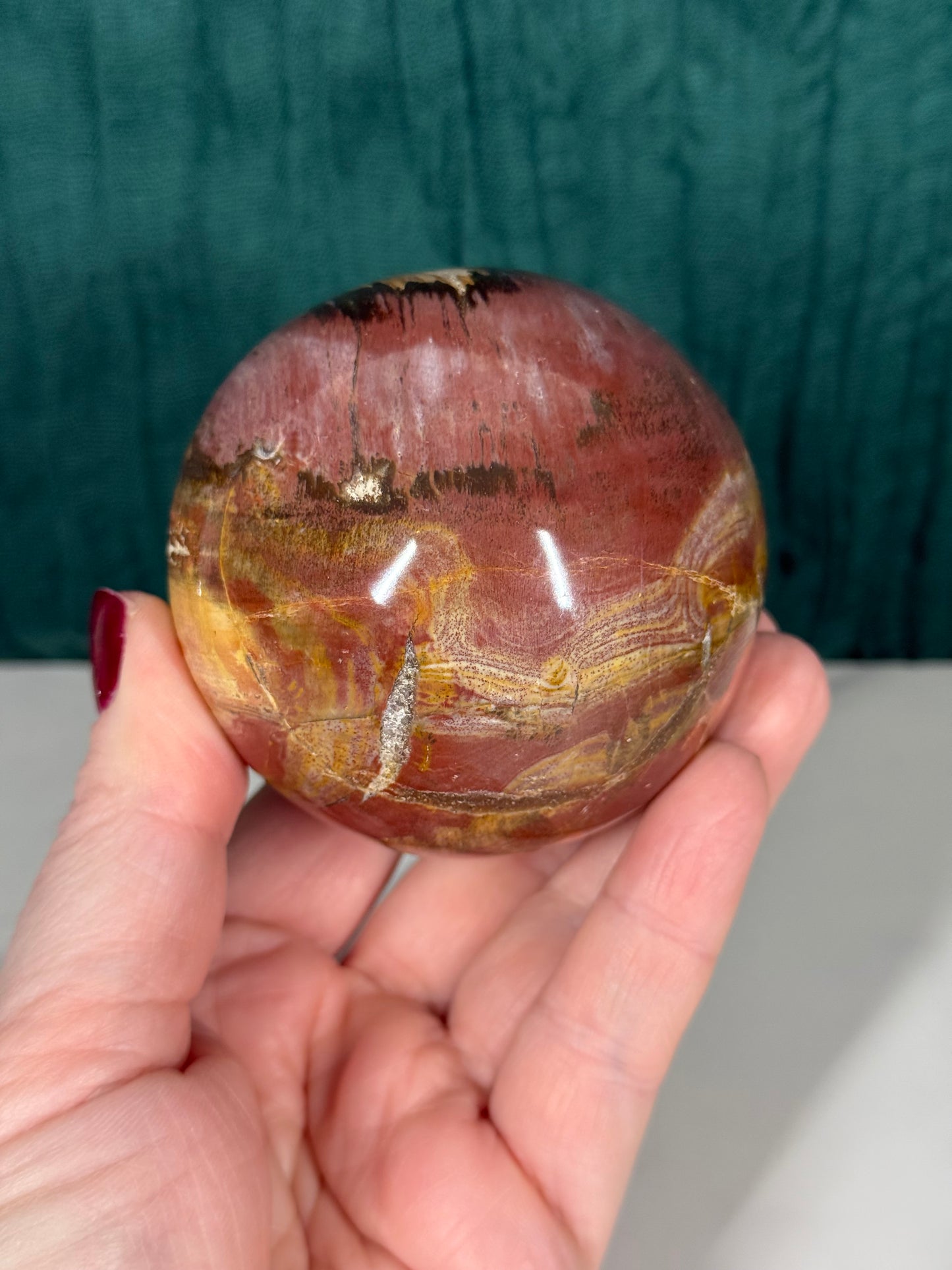 Petrified Wood Sphere
