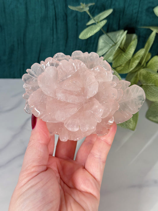 Rose Quartz Rose