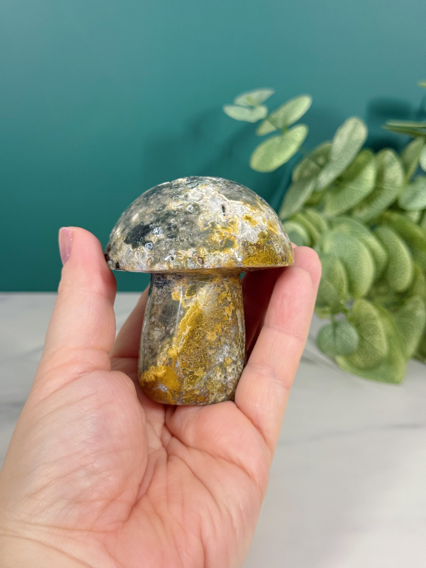 Mushroom - Ocean Jasper