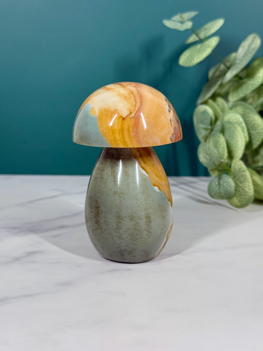 Mushroom - Polychrome Jasper