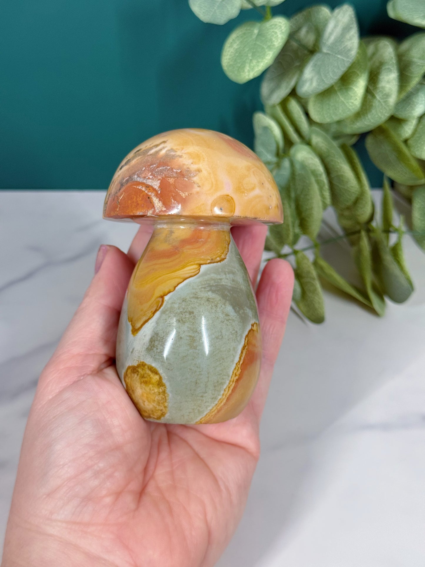 Mushroom - Polychrome Jasper