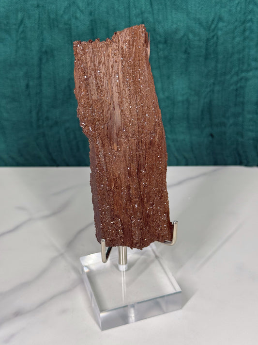 Permineralized Wood
