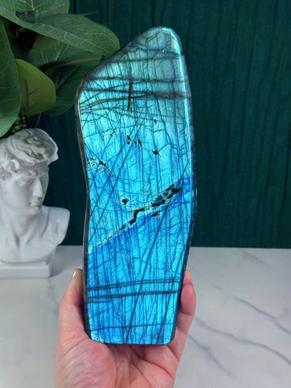Electric Blue-Flash Lab Statement