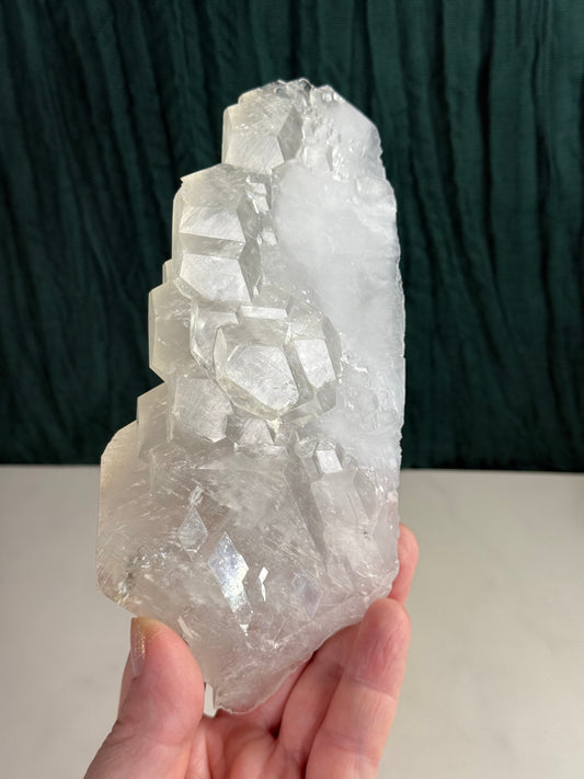 Skeletal Benz Calcite