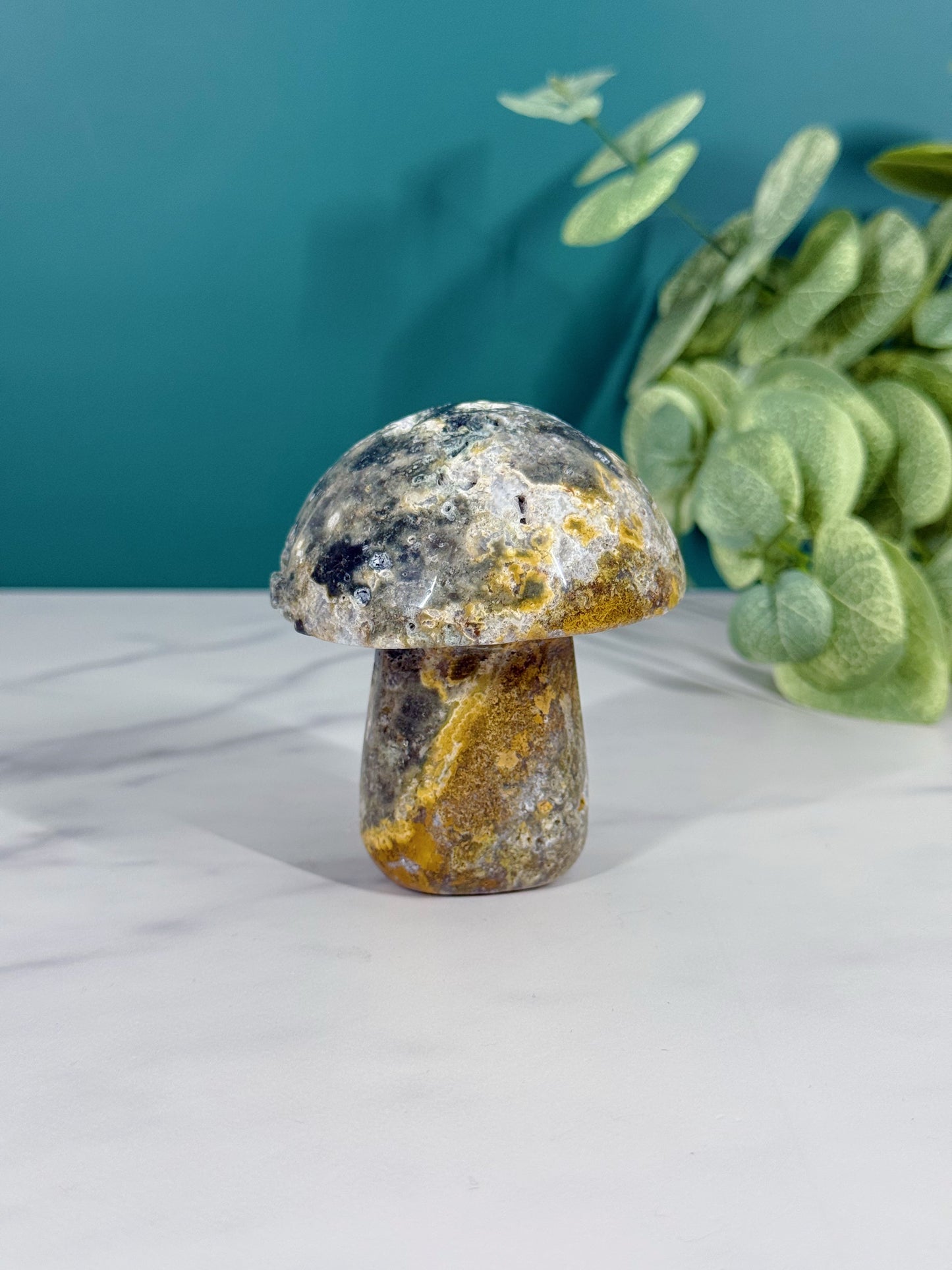 Mushroom - Ocean Jasper