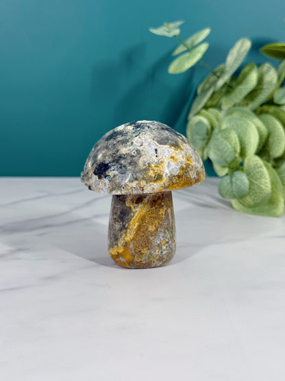 Mushroom - Ocean Jasper