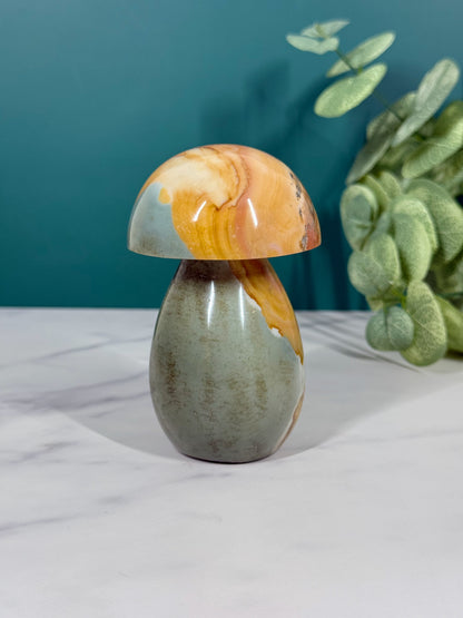 Mushroom - Polychrome Jasper