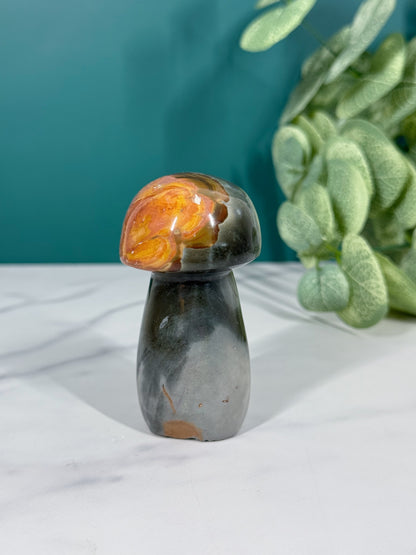 Mushroom - Polychrome Jasper