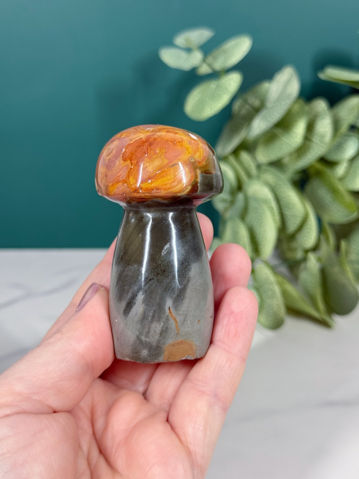 Mushroom - Polychrome Jasper