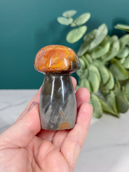 Mushroom - Polychrome Jasper