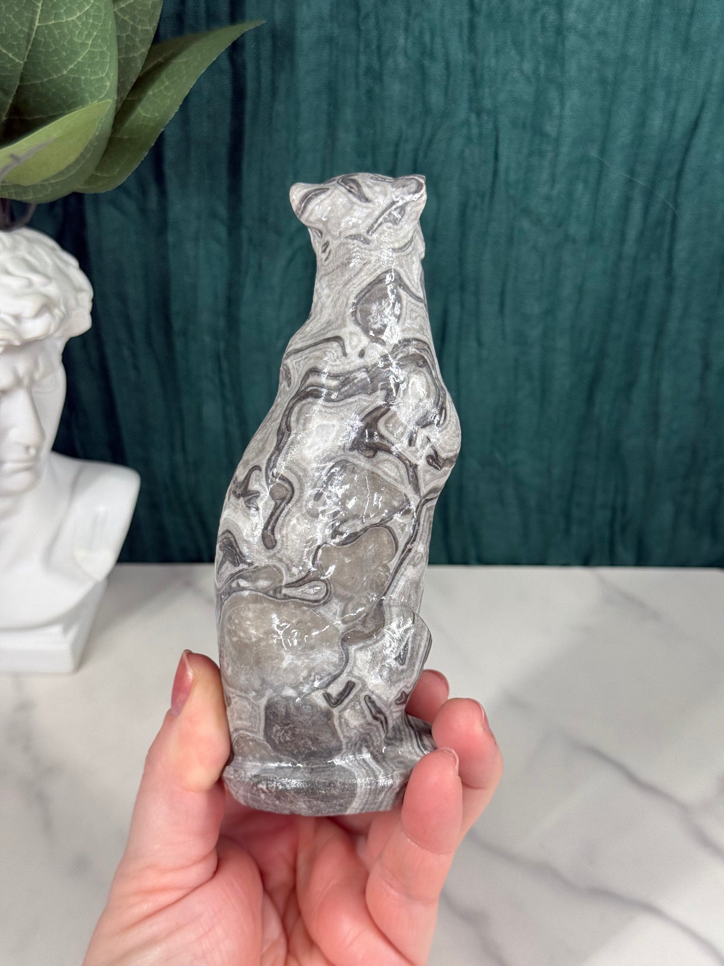 Picasso Jasper Leopard