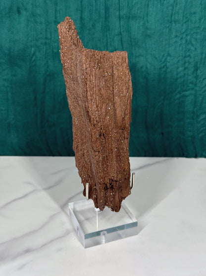Permineralized Wood
