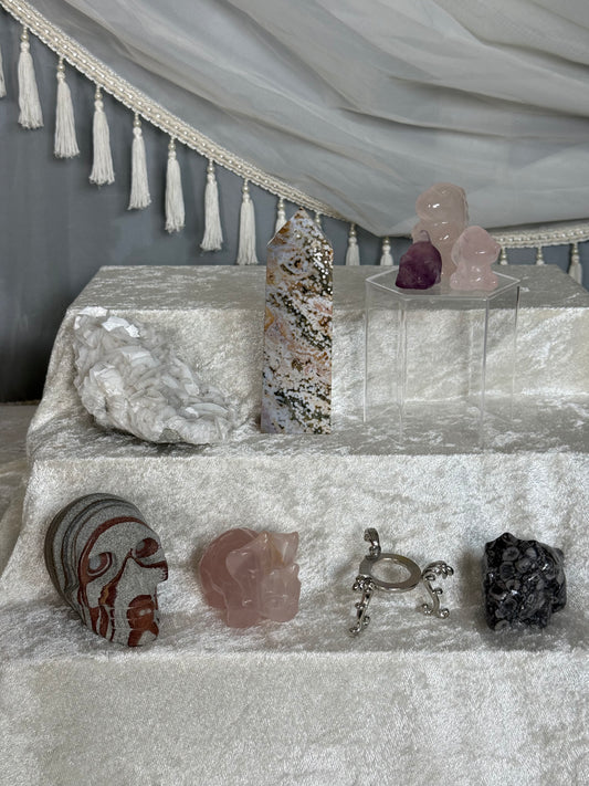 Live Sale 1/19/2026 - Chezicake