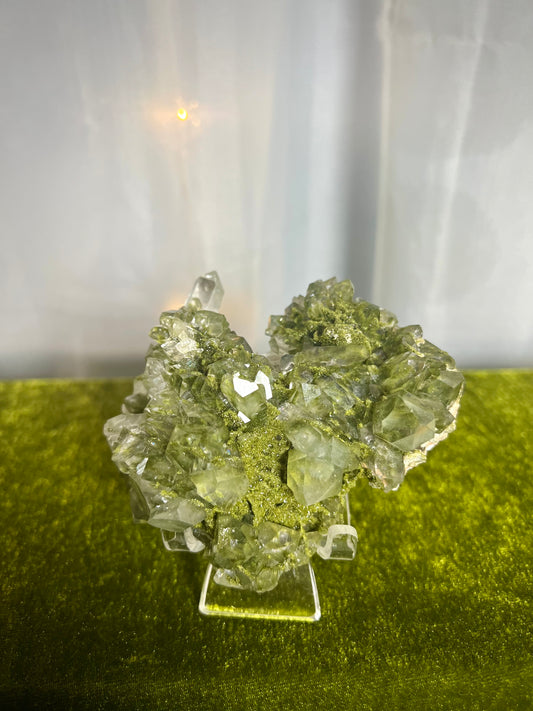 Live Sale 12/1/2025-Penelope's Palace