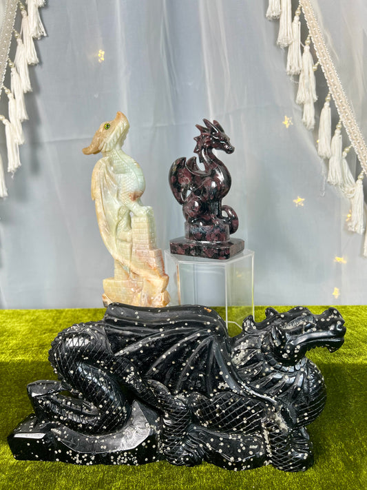 Live Sale 12/1/2025- Newt