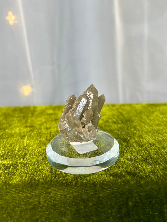 Live Sale 12/1/2025- Zoe